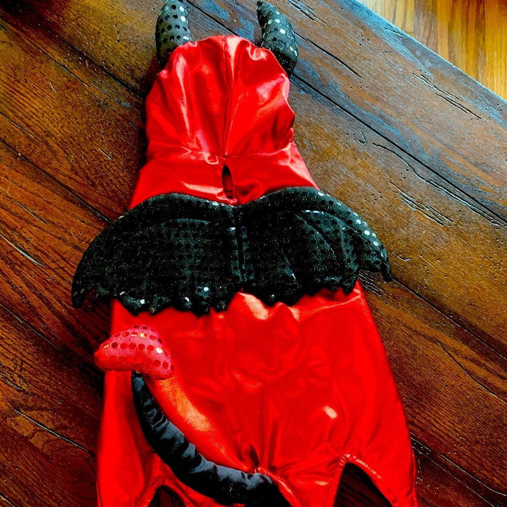 Dog costume
